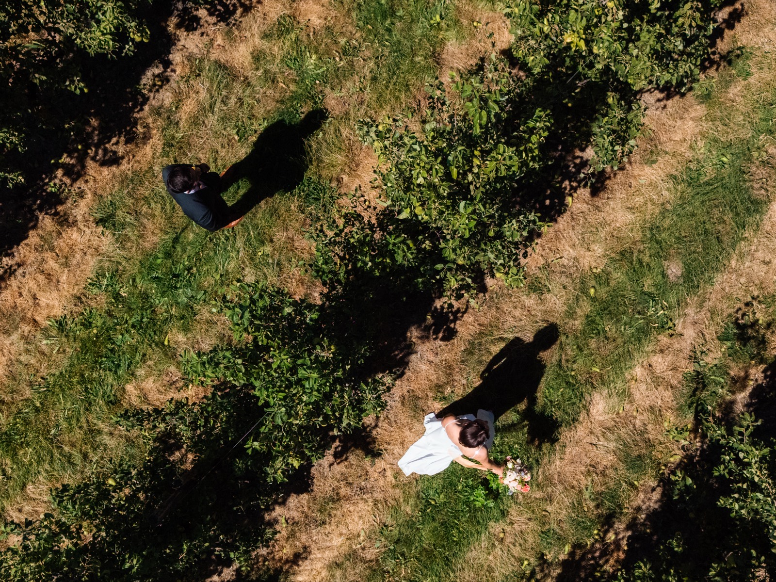 Vanuit de lucht, tussen de bomen